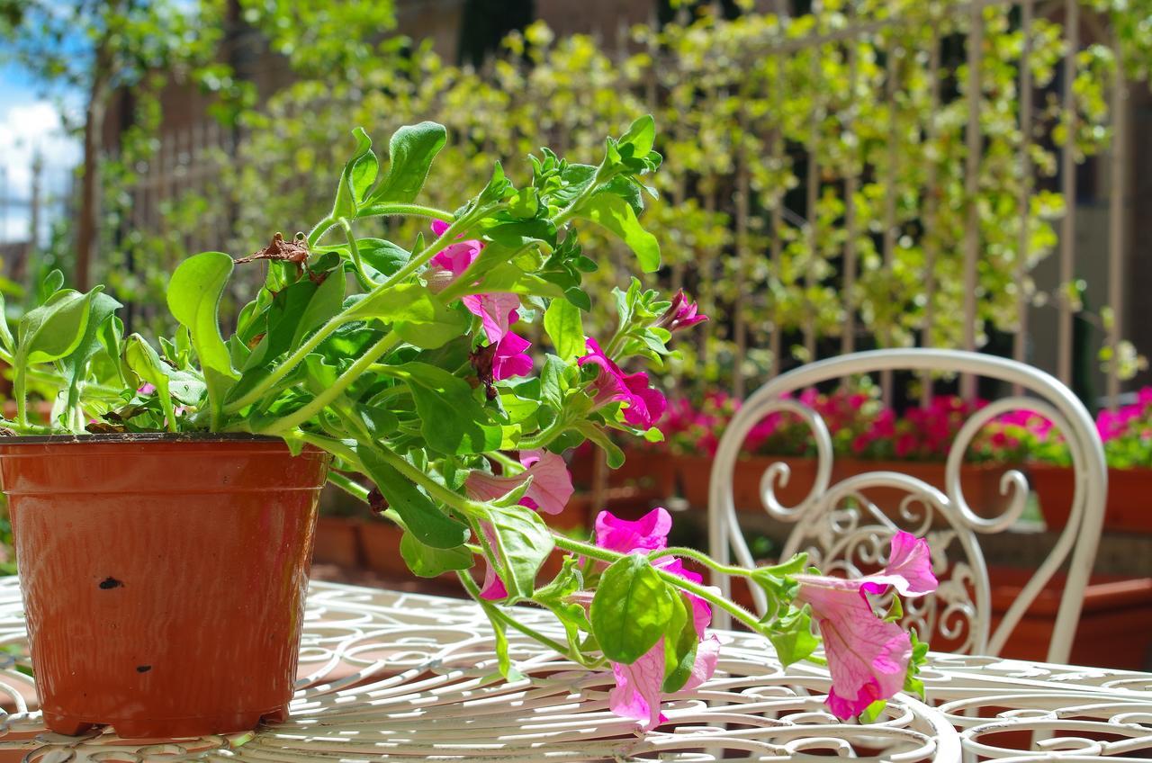 Bed and breakfast Casalbergo Siena